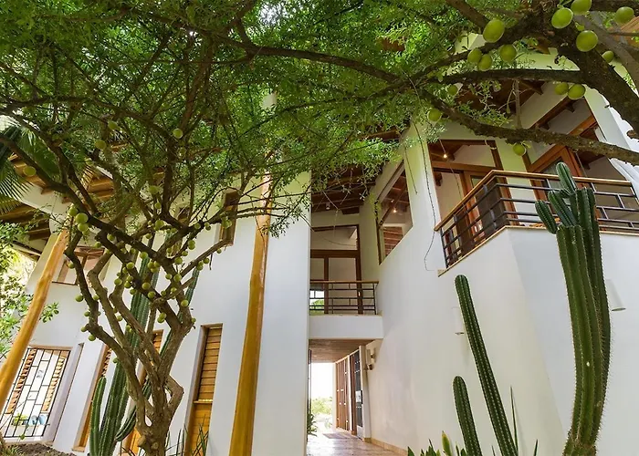 Casa Ohana - 5 Bedroom Ocean Front In Playa Negra, Crc *